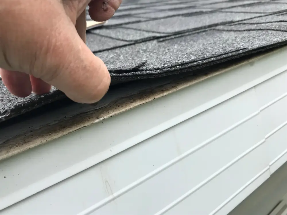 Roof inspector examining residential roofing system in Los Lunas NM